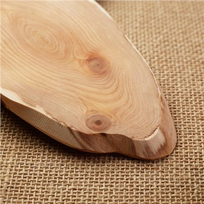 Подставка под горячее «Обычная, слэб», 8×20 см, можжевельник