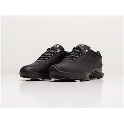 Зимние Кроссовки Ecco Biom