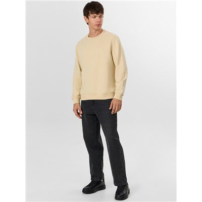 СВИТШОТ МУЖСКОЙ 121939