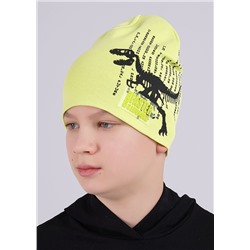 CLEVER Шапка