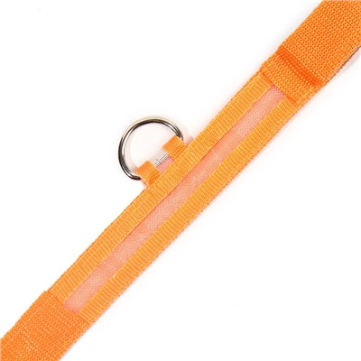 Ошейник с подсветкой размер S, ОШ 35-43×2.5 см, 3 режима свечения оранжевый