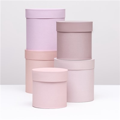 Набор шляпных подарочных коробок 5 в 1 «Пудра»,20×20×20‒13.5×13.5×13.5 см