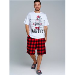 Комплект для мужчин: фуфайка (футболка) трикотажная, шорты текстильные