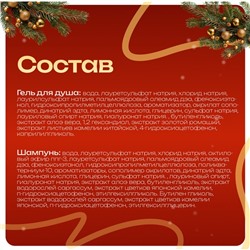 Новогодний подарочный набор косметики «Путешествие в новогоднюю сказку» для душа и ванны. Зеленая серия