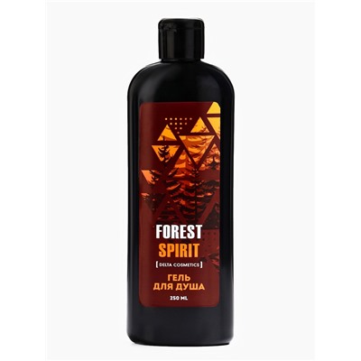 Подарочный набор мужской FOREST SPIRIT, гель для душа 250 мл, шампунь 250 мл