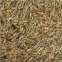 Газонная травосмесь «Красотень Гном», 0.5 кг