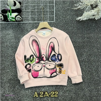 кофта с начесом 2050755-4