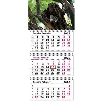 Календарь квартальный 2026г. 3 спирали ЭКОНОМ "Совушки" 3-х блоч. с бегунком 3120-22 Полином
