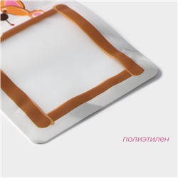 Набор пакетов для хранения сыпучих продуктов Доляна, застёжка zip-lock, 3 шт., 18.2×23.5 см, 14.5×19 см, 11.2×14.5 см