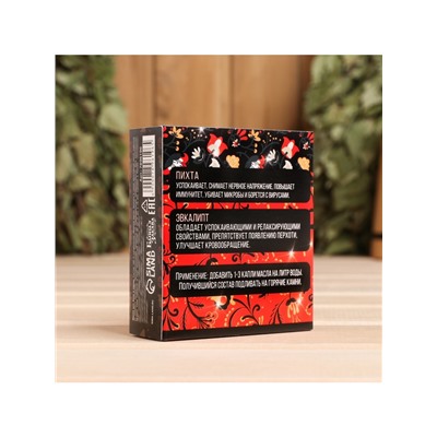 Набор эфирных масел «Хозяин бани», в подарочной коробке, пихта, эвкалипт, 2 шт. по 10 мл