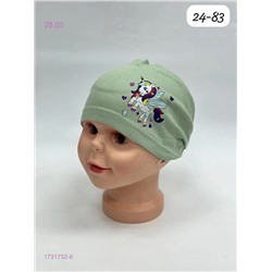 шапка 1731752-6