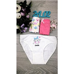 Детский набор трусов " Тройка "