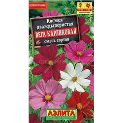 Космея Вега карликовый смесь (Аэлита)
