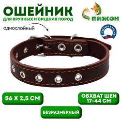 Ошейник однослойный, безразмерный, 56×2.5 см, ОШ 17-44 см, кожа, коричневый