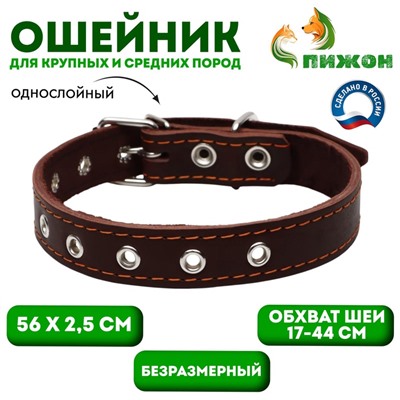 Ошейник однослойный, безразмерный, 56×2.5 см, ОШ 17-44 см, кожа, коричневый