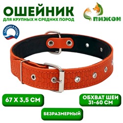 Ошейник кожаный тисненый на фетре, безразмерный, 67×3.5 см, ОШ 31-60 см, рыжий