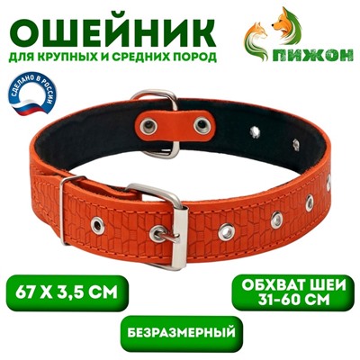 Ошейник кожаный тисненый на фетре, безразмерный, 67×3.5 см, ОШ 31-60 см, рыжий