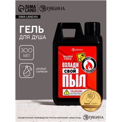 Гель для душа «Охлади свой пыл», 300 мл, аромат мужского парфюма, HARD LINE