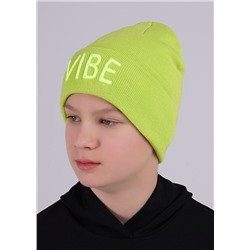CLEVER Шапка