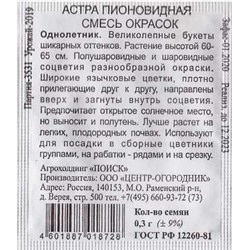 Астра  Пионовидная смесь (Код: 88141)