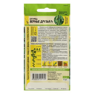 Семена Огурец "Верные друзья", F1, 5 шт