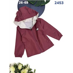 Ветровка 2453 бордовый