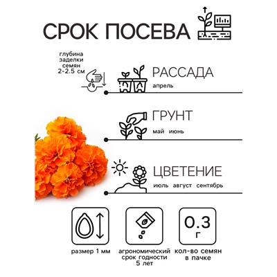 Семена цветов Бархатцы отклонённые «Мандарин», махровые, 0.3 г