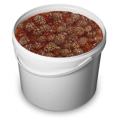 Варенье из сосновой шишки