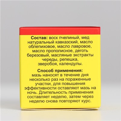 Мазь монастырская «От псориаза», 25 мл