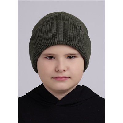 CLEVER Шапка