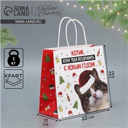 Пакет подарочный новогодний крафтовый «Котик», 22×22×11 см