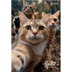 Записная книжка А5 160л клетка "ФОТОГРАФИЯ КОТИКОВ" 160-1695 Проф-Пресс