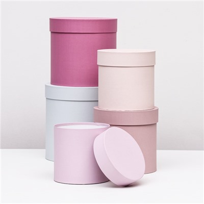 Набор шляпных подарочных коробок 5 в 1« Нежность», 23×23 - 14×14 см