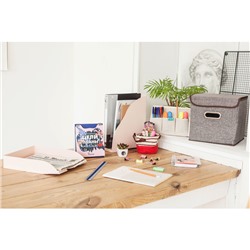 Короб стеллажный для хранения с крышкой «Офис», 25×25×25 см, цвет серый