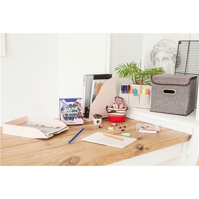 Короб стеллажный для хранения с крышкой «Офис», 25×25×25 см, цвет серый