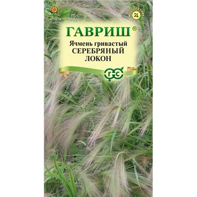 Ячмень гривастый Серебряный локон (Код: 93259)