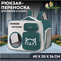 Рюкзак для переноски «Котик», прозрачный, 40×30×26 см, серо-зелёный