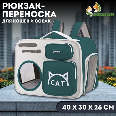 Рюкзак для переноски «Котик», прозрачный, 40×30×26 см, серо-зелёный