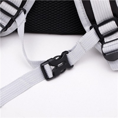 Рюкзак для переноски животных, 31×28×42 см, прозрачный, чёрный