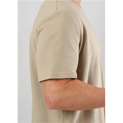 Футболка мужская