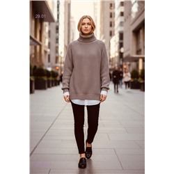 Свитер водолазка 2058562-2