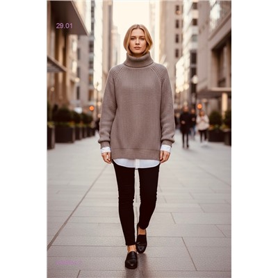 Свитер водолазка 2058562-2