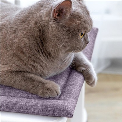 Волшебная Ночь Подушка для стула 920804