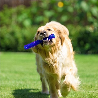 Жевательная игрушка для собак «Палка», 24.5 см, тренировочная, полая, синяя