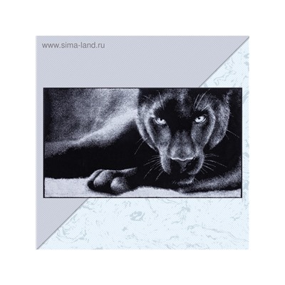 Полотенце махровое Этель «Пантера» 70×130 см, 100% хлопок, 420 г/м², чёрно-белое