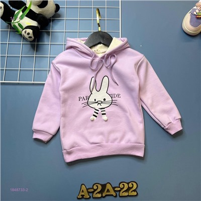 кофта с начесом 1848733-2