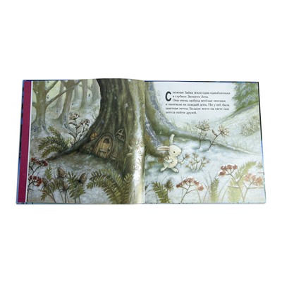 Эксмо "Новогодняя мечта Снежной Зайки (ил. Р. Харри)"