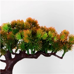 Бонсай искусственный в горшке «Хвойное дерево», 10.5×18 см, МИКС