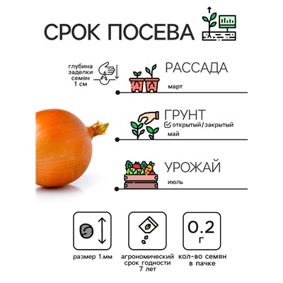 Семена Лук репчатый "Эксибишен", 0,2 г