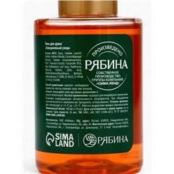 Новогодний подарочный набор косметики Happy new year: гель для душа 2 шт. × 100 мл, мочалка для тела, URAL LAB